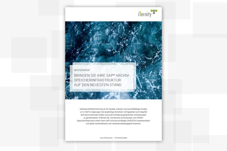 Whitepaper zur SAP-Archivierung und Modernisierung bestehender Archivspeicher-Infrastrukturen.