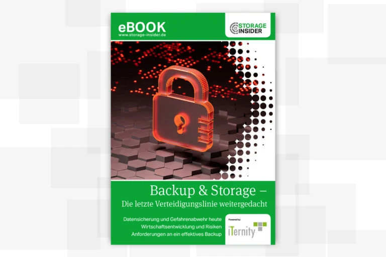 Titelseite des eBooks Backup & Storage mit rotem Vorhängeschloss-Motiv